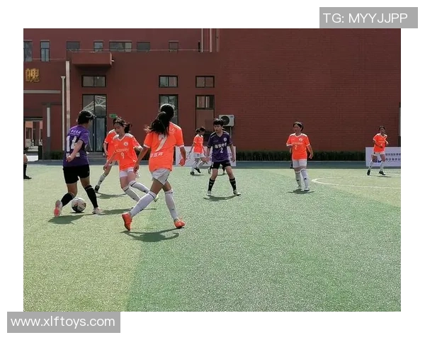 丹凤足球明星名单全解析及其辉煌成就回顾