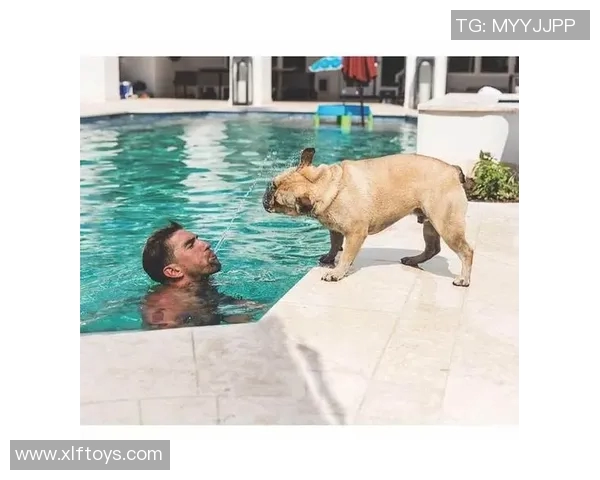 足球明星们的爱犬生活揭秘与他们的狗狗趣事分享